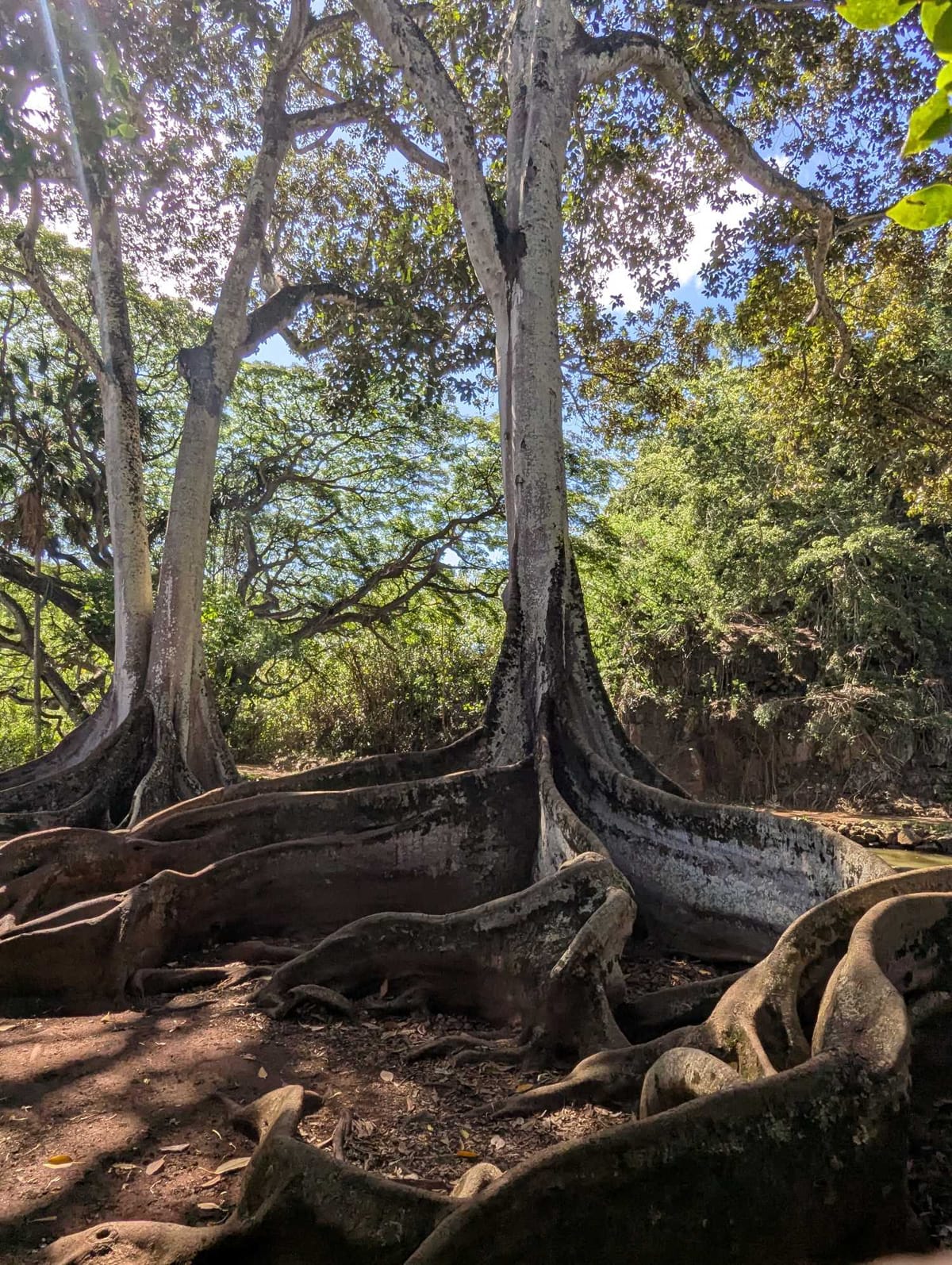 Last Day Hawaii: Nawiliwili, Kuai