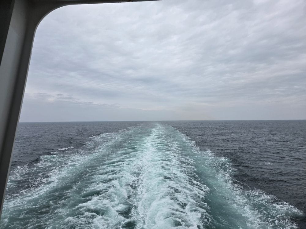 Last Day of the Cruise