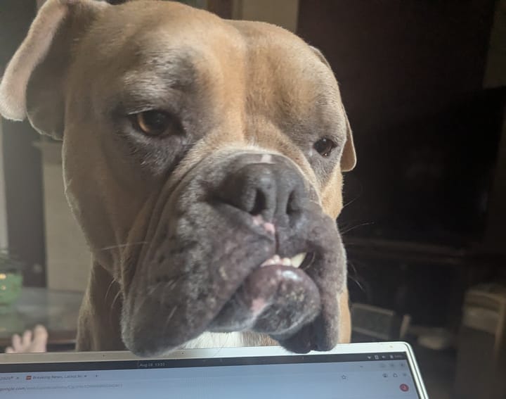 Mascot Tried to Destroy My PC Again