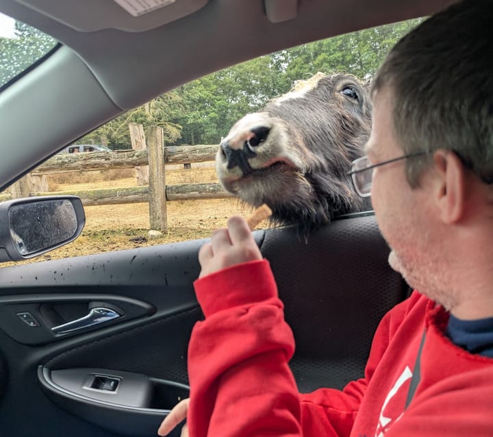 Got Some Drool on the Car